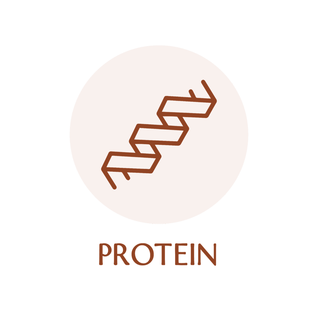 protein